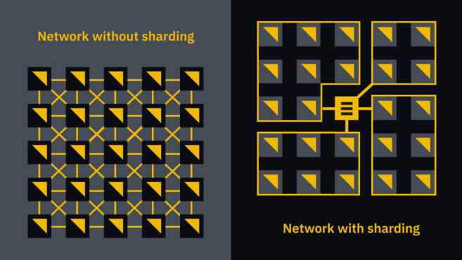 network without sharding vs the network with sharding